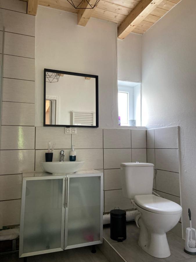 Le Chene: Petit Chalet Cosy Proche De Mulhouse Riedisheim Eksteriør billede