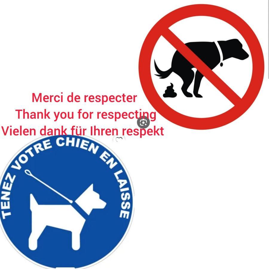 Le Chene: Petit Chalet Cosy Proche De Mulhouse Riedisheim Eksteriør billede